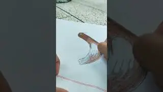How to art a Martin bird 🕊️🐦