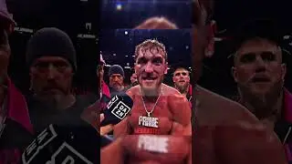 Conor McGregor vs The Paul Brothers 🥶 #shorts #loganpaul #conormcgregor #jakepaul #trending