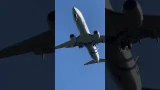 KLM skyTeam Livery Close Up approach to Heathrow 4K #Shorts