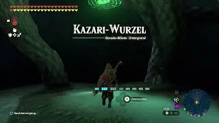 Playing Super Smash Bros and Zelda