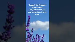 Spring Season | Four Seasons Of The Year | Learning for kids  #shorts
