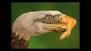 Most Amazing Animals Hand Painting