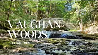 Vaughan Woods. Hallowell, Maine. Nature Hike.