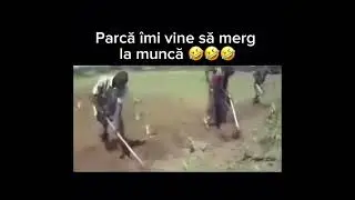 Digging while dancing 🤣 #teamwork