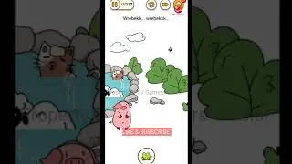BRAIN FIND || LEVEL NO. 117 || WREBEKK... WREBEKKK....