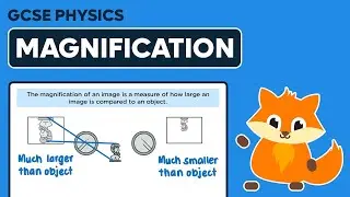 Magnification - GCSE Physics
