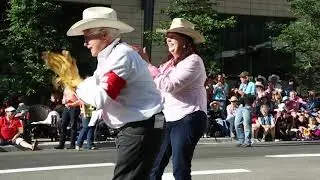 Highlights from the 2014 Stampede Parade