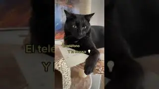 Mi Karen 🎶