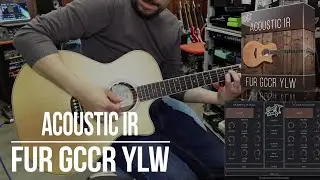 Acoustic IR | Fur GCCR YLW | Playthrough Demo (Furch Yellow GC-CR)