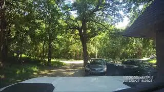 Watch out for deer.