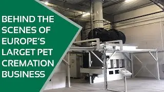 How We Helped Revolutionize the Pet Cremation Industry