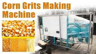 Amazing Corn Grits Maker for Your Business | High Efficiency & Low Cost! #corn #maize #farming