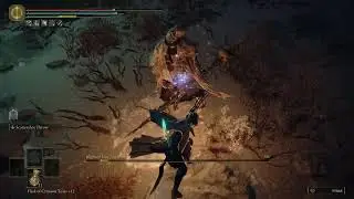 +0 Playground 3 Blighted Nox Ancestor- Elden Ring Convergence Nox Challenge 3