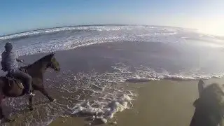 Beach Horse Ride (Jeffreys Bay)