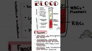#bloodcomposition #bloodpressure #biologyclass12 #viral