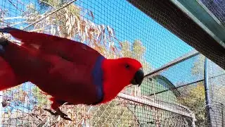 Armadale Reptile & Wildlife Centre|Indian in perth|Australia|Bengali in perth
