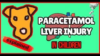 Paracetamol (Acetaminophen) Hepatotoxicity in Children vs Adults Tylenol for children