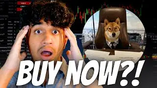 НОВАЯ МОНЕТА ИЛОНА МАСКА?! КУПИТЕ $FLOKI СЕЙЧАС!? ЧТО ТАКОЕ $FLOKI??