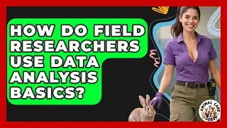 How Do Field Researchers Use Data Analysis Basics? - Animal Care Jobs