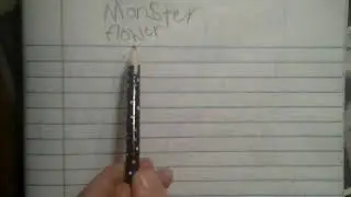 Seed draw of monster flower