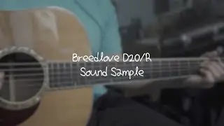 Breedlove D20R sound sample