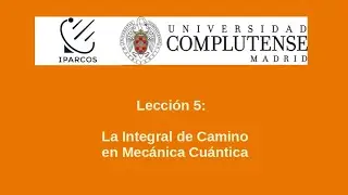 La integral de camino en mec&aacute;nica cu&aacute;ntica. Lecci&oacute;n 5 Teor&iacute;as gauge, m&aacute;ster F&iacute;sica Te&oacute;rica UCM