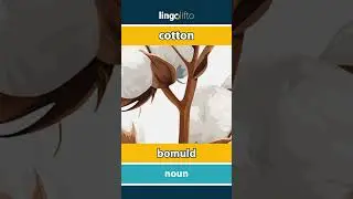🇬🇧🇩🇰 cotton - bomuld : vocabulary builder : learn English : Lad os l&aelig;re engelsk