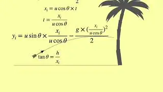 Monkey-Hunters problem in physics