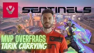 397 ACS 31 Kills No Overtime!!! SEN tarik Waylay⏱ VOD!