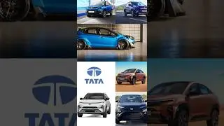 Tata car sales october 2024