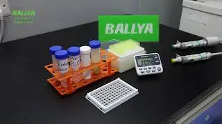 Aflatoxin B1 Rapid Test - Detection of Aflatoxin B1 in Corn - BALLYA