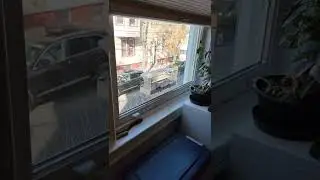Anti pigeon (aka flying rat) bird feeder mod V 4.0