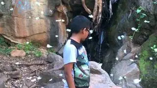 BUTTERFLIES BLESSED KULITHALAI SIVARAMAN