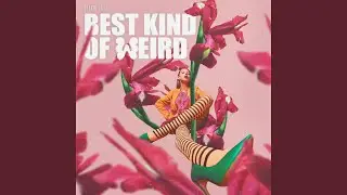 Best Kind of Weird