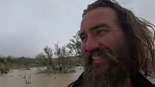 What 3 inches of rain looks like in a desert landscape