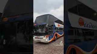 Expresos Occidente