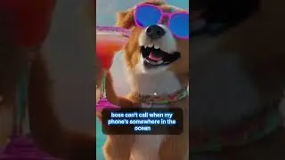 skip work #work #dog #dogshorts