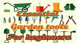 Essential Garden tools for beginners