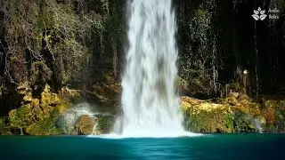 Turquoise Dreams: Waterfall Lullaby ✨ Sleep Sounds
