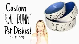 DIY Custom &ldquo;Rae Dunn&rdquo; Pet Dishes!