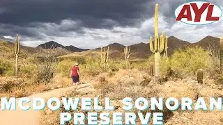 McDowell Sonoran Preserve