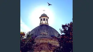 Released Liberation