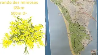 rando des mimosas 2025