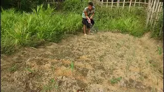 Improving farm tools and weeding, taking care of the vegetable garden - Survival, Green Forest Life