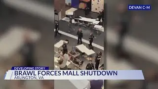 Arlington residents react to Pentagon City Mall brawl