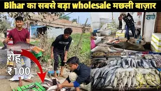 बिहार का सबसे बड़ा मछली बाज़ार ।। Muzaffarpur Wholesale Fish Market।। सबसे सस्ता मछली बाजार।।