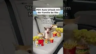 Folgt für mehr 😂#katze #katzen #katzenvideos