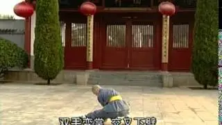 NORTHERN SONGSHAN SHAOLIN FORMS