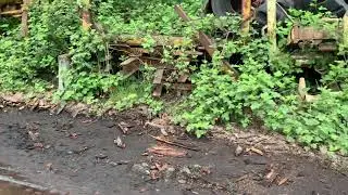 Old cable trip bunk log truck bunks with hydraulic scale pads left to rot
