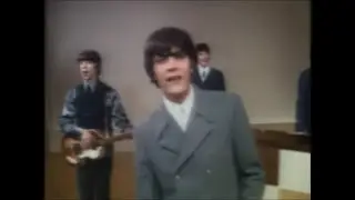 NEW 📀 Kind Of A Drag - The Buckinghams {Stereo} Feb. 1967